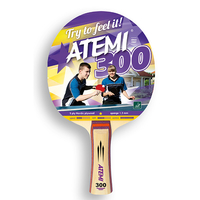 atemi300cv.jpg